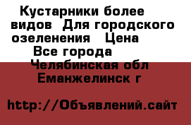 Кустарники более 100 видов. Для городского озеленения › Цена ­ 70 - Все города  »    . Челябинская обл.,Еманжелинск г.